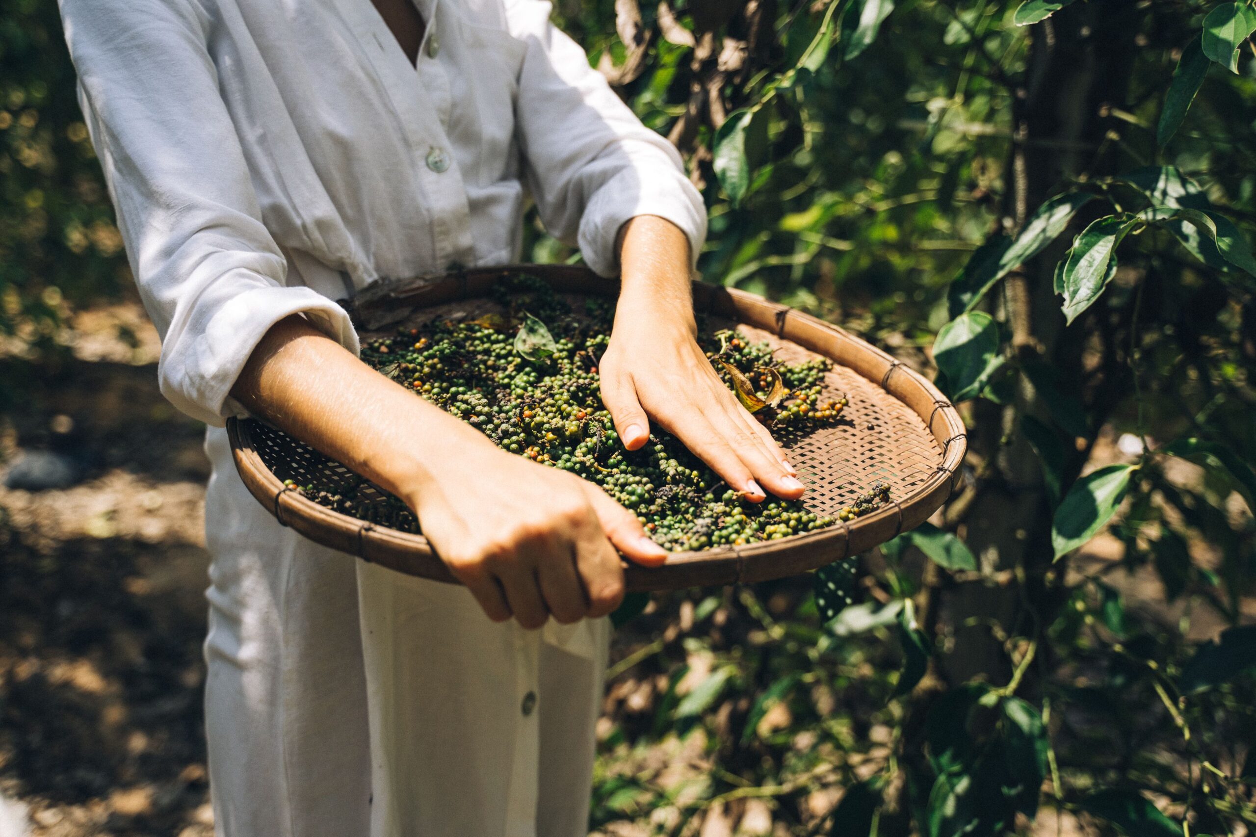 Vietnamese-banner-pepper
