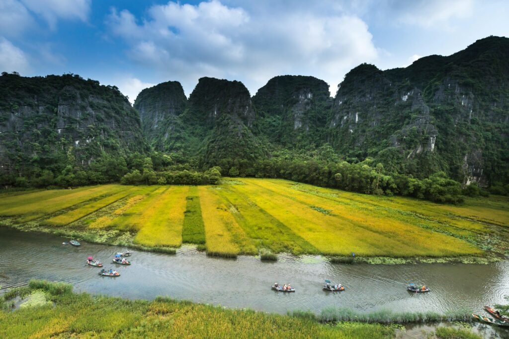 best time to visit ninh binh golden rice harvest season weather guide