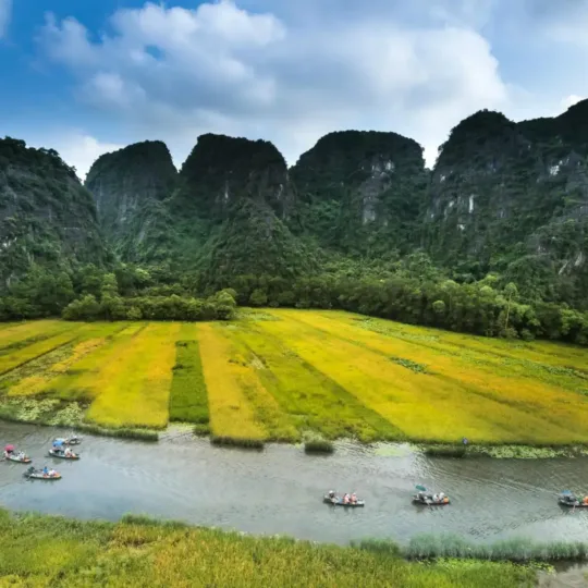 best time to visit ninh binh golden rice harvest season weather guide