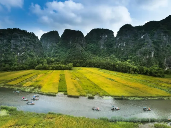 best time to visit ninh binh golden rice harvest season weather guide