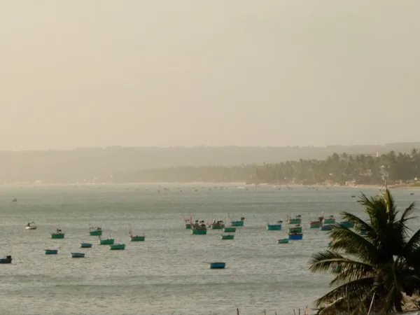 Fishing village with basket boats and palm trees at sunset in Phan Thiet