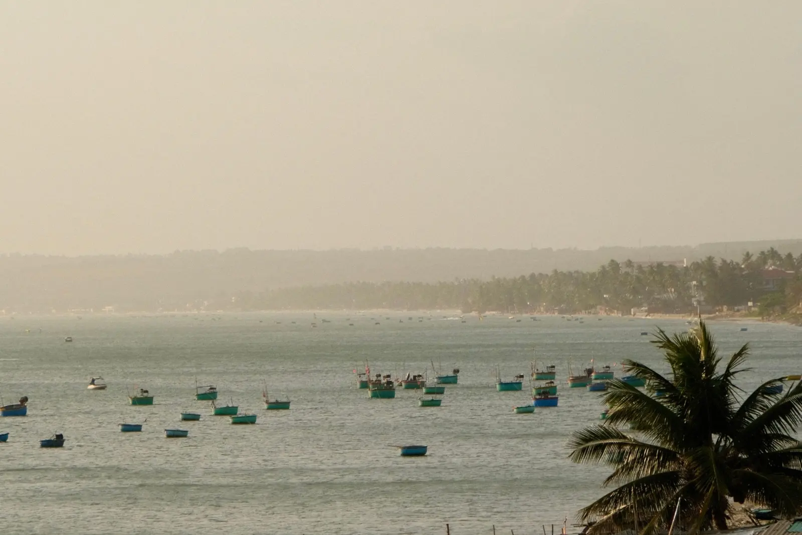 Fishing village with basket boats and palm trees at sunset in Phan Thiet