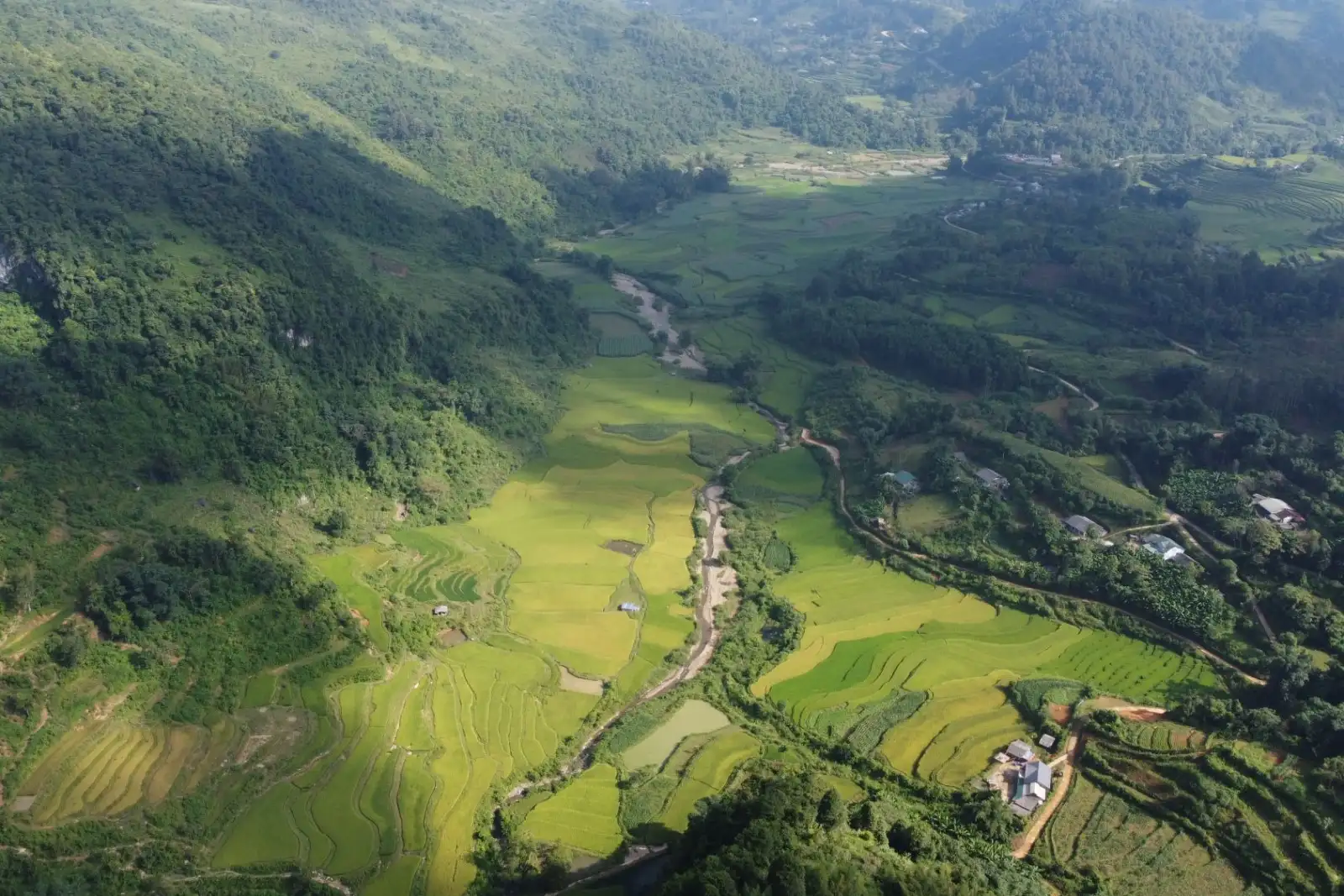 Green rice terraces seen from above in Cao Bang