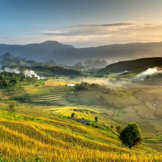 Mai Chau