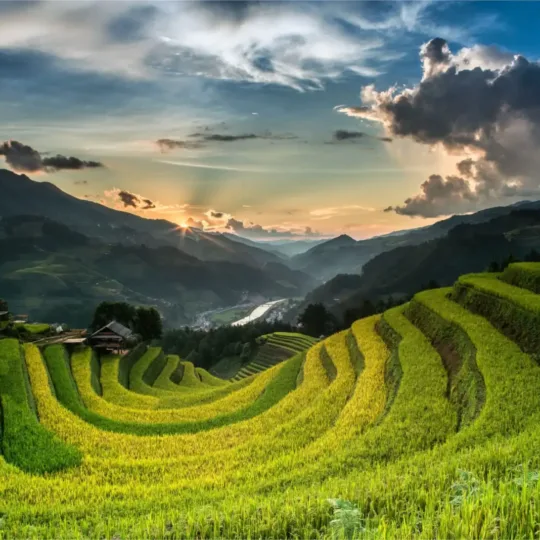 Mu Cang Chai