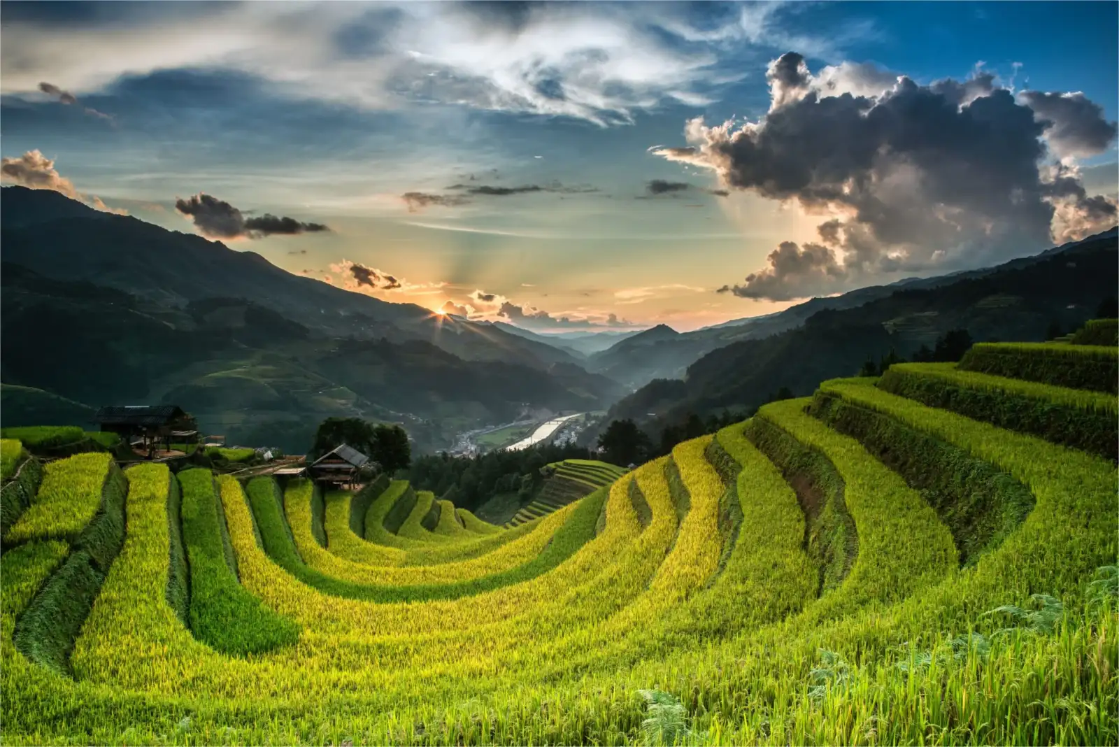 Golden terraced rice fields at sunset in Mu Cang Chai