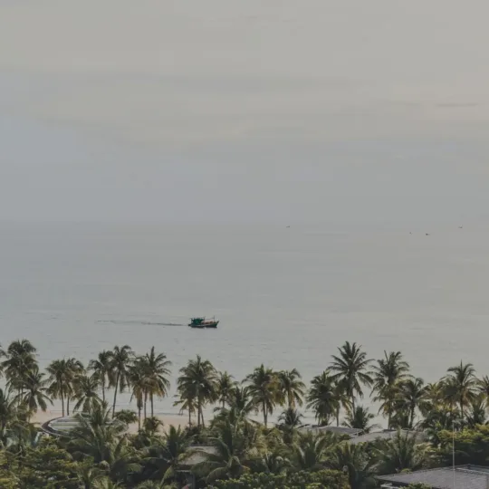 Palm-lined beach with a boat on the calm sea in Phu Quoc