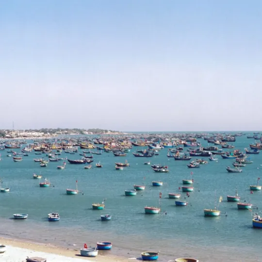 Hundreds of colorful fishing boats anchored in the bay off Phan Thiet