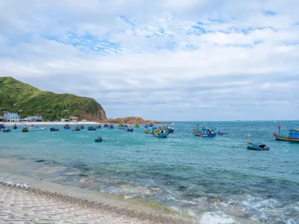 Colorful fishing boats moored near a rocky headland in Quy Nhon