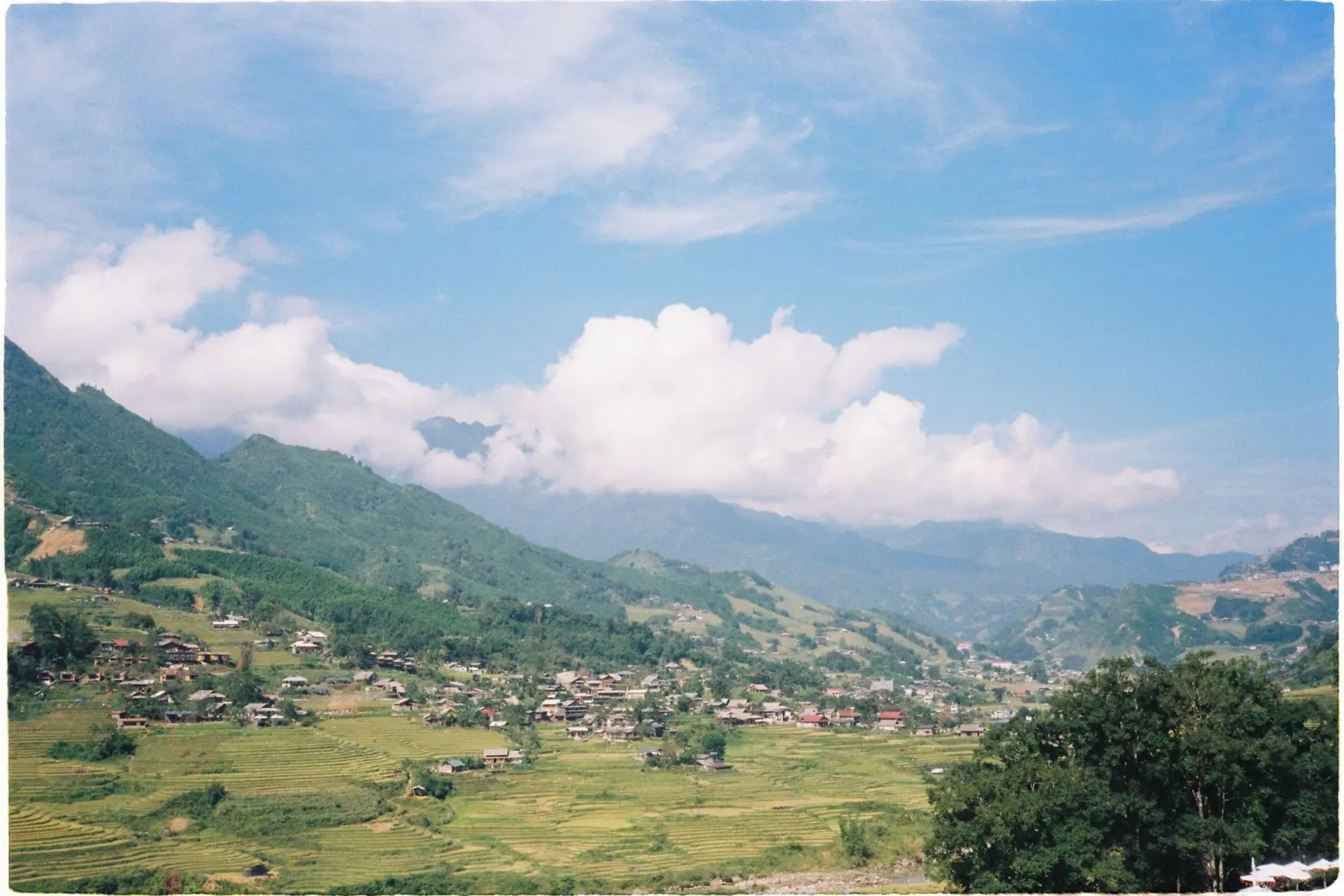 Terraced rice fields and a village among green hills in Sapa