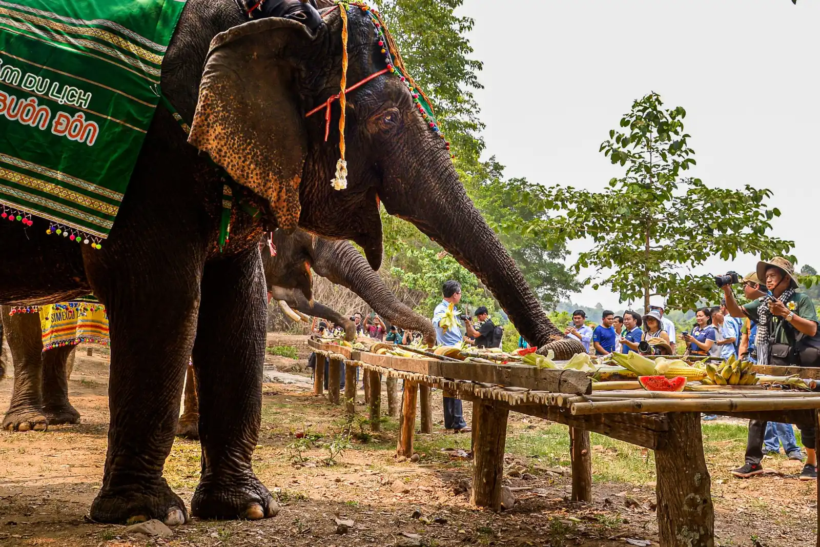 Ban Don Village, Buon Ma Thuot, Vietnam