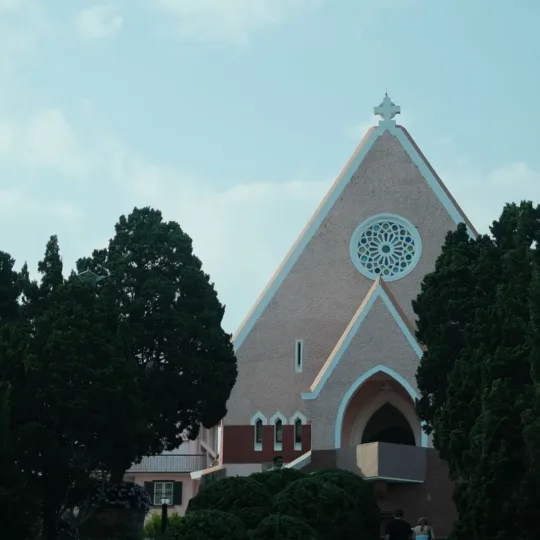 Da Lat Cathedral (Chicken Church)