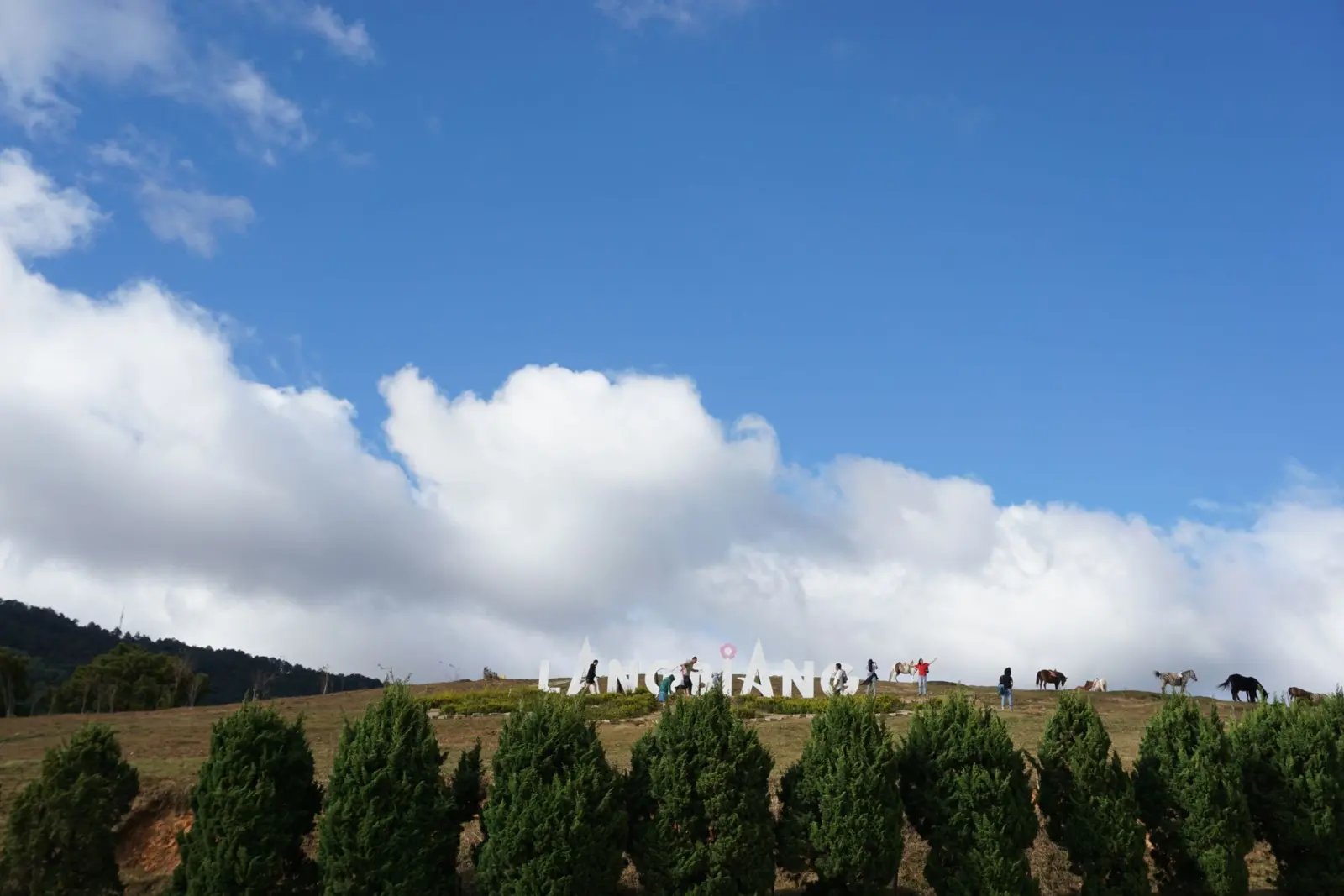 A panoramic view of Langbiang Mountain in Da Lat, featuring rolling hills covered in lush trees under a bright blue sky.