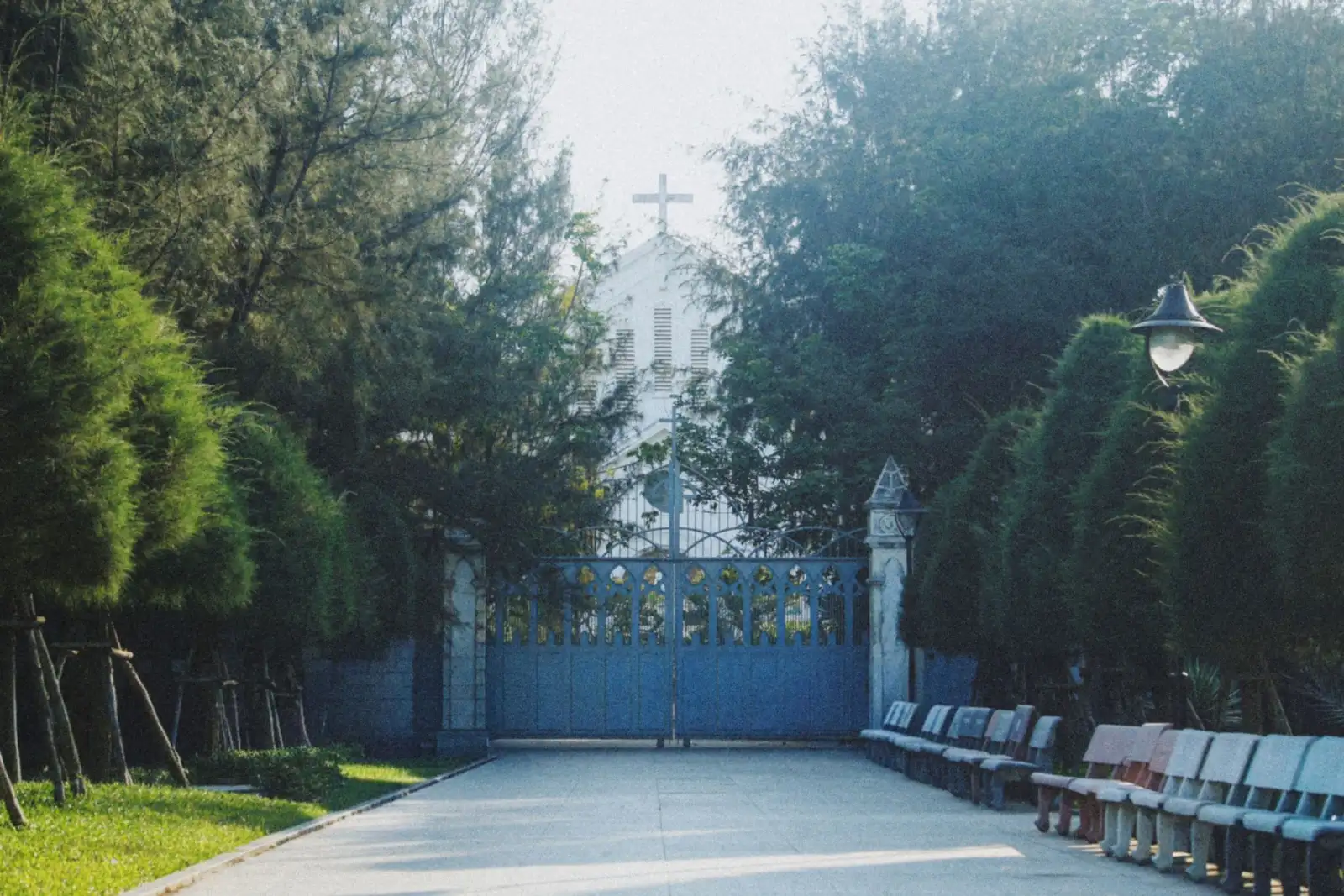 The peaceful entrance of the pink Da Nang Cathedral surrounded by lush green trees in Da Nang, Vietnam.