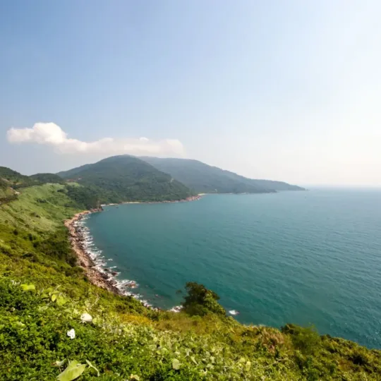 손트라 반사와 해수관음상