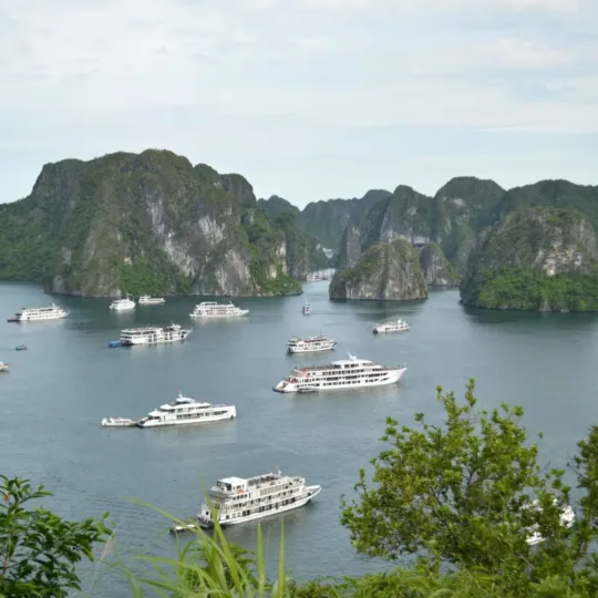 하노이 하롱베이(Ha Long Bay) 크루즈