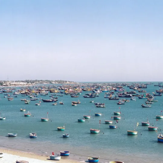 Phan Thiet Fishing Harbour