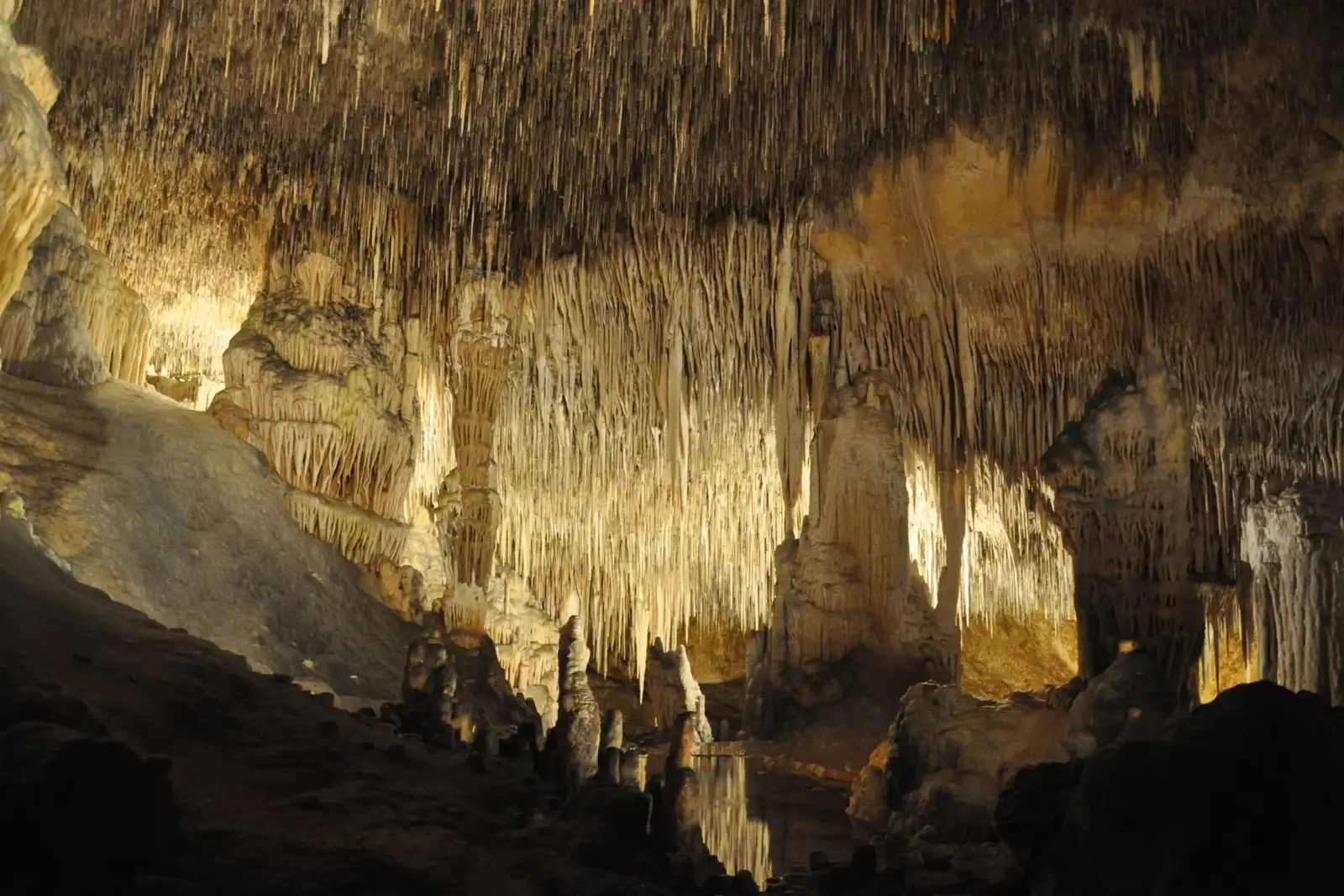 Hang En Cave, Phong Nha, Vietnam