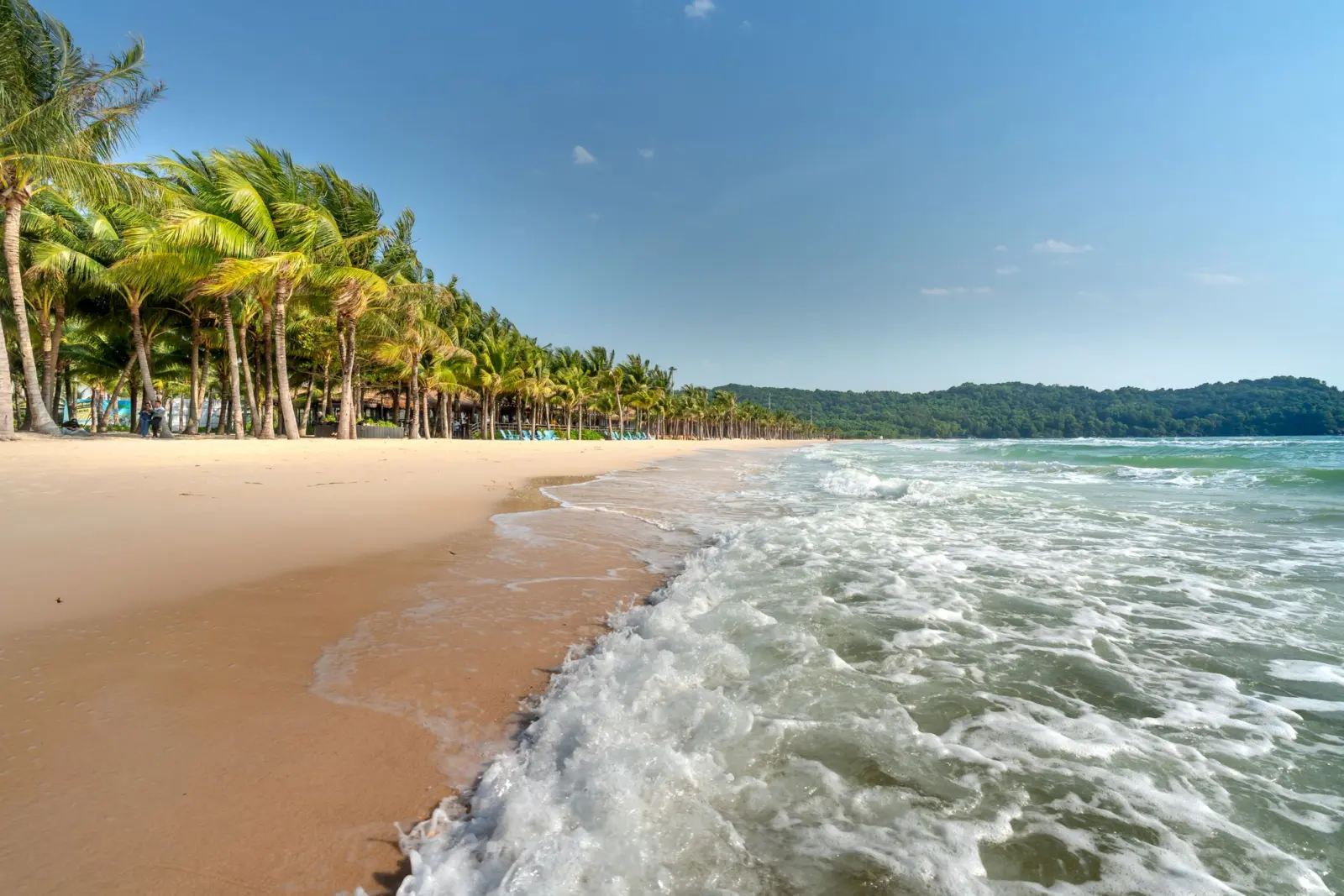 富国岛白沙滩（Sao Beach）上郁郁葱葱的热带海滩，蓝天之下，高大的棕榈树和轻柔的海浪。