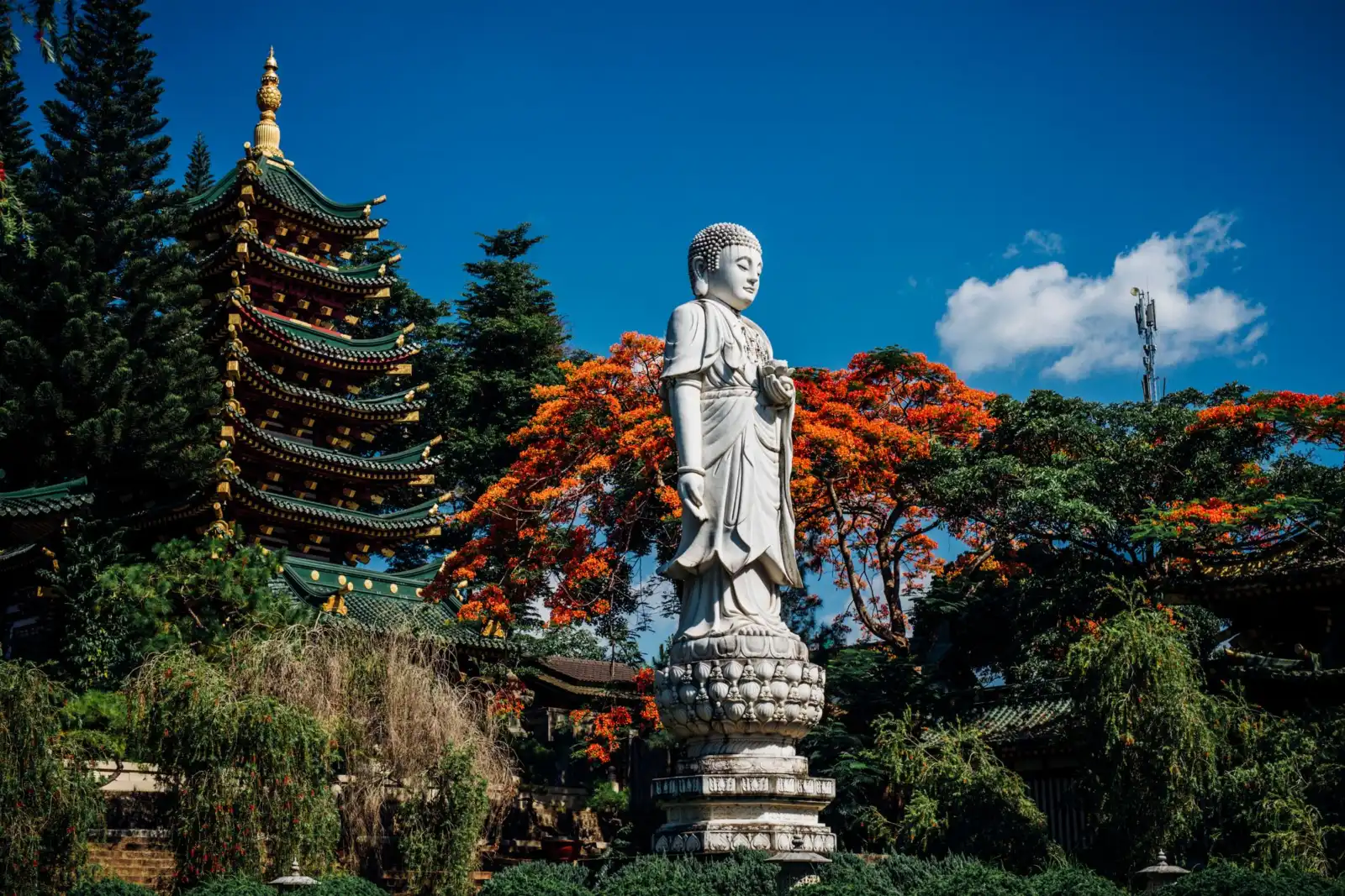 A golden Buddha statue stands at Minh Thanh Pagoda in Pleiku, surrounded by traditional architecture and lush foliage.